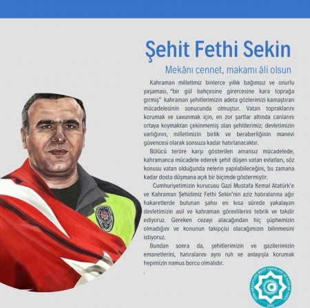 Şehit Fethi Sekin